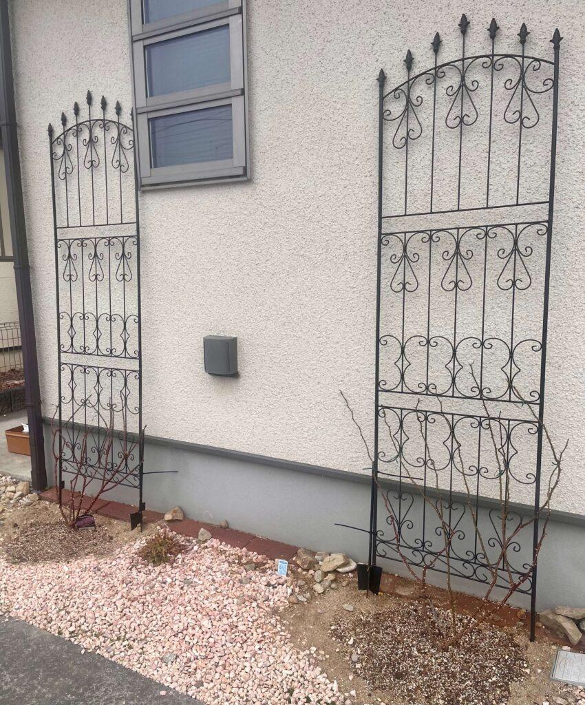 バラの植え替え2026冬